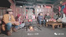 救援有趣的孔雀